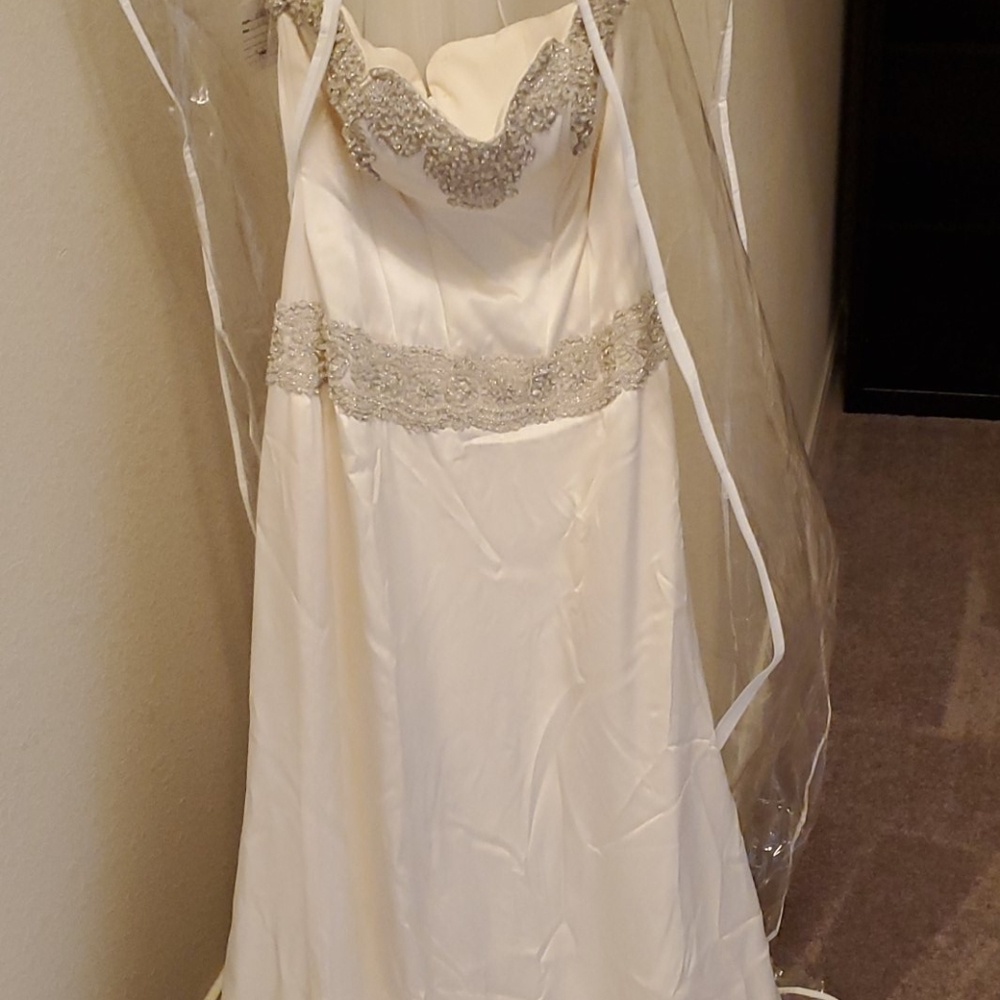 Winnie Couture wedding dress and floor length veil